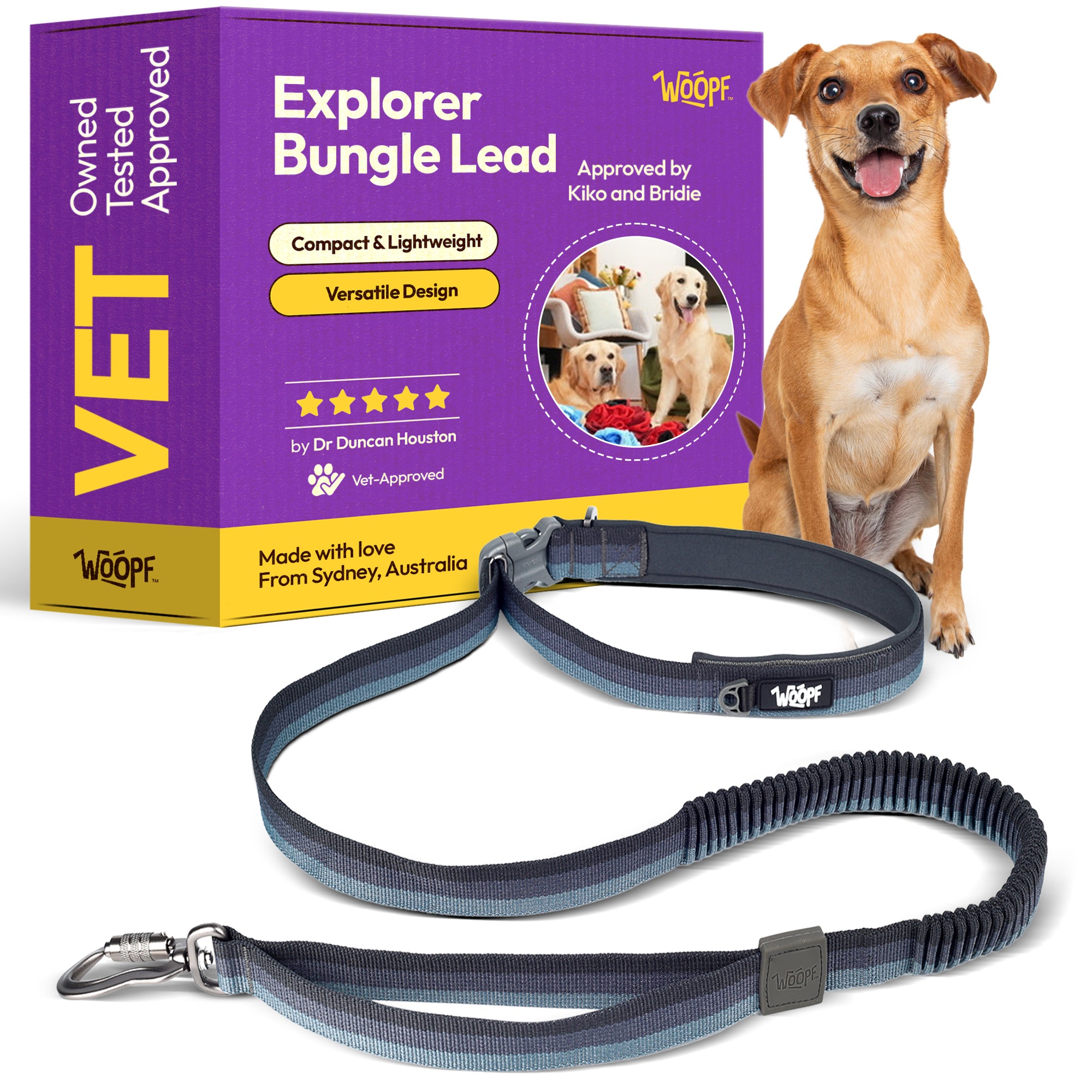 Explorer Bungee Dog Leash – Shock-Absorbing, Hands-Free, Dual Handle