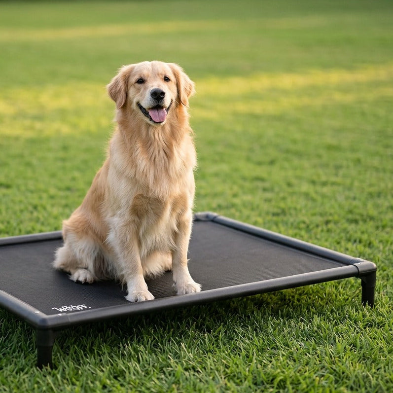 Hamaca para Perros a Prueba de Mordidas