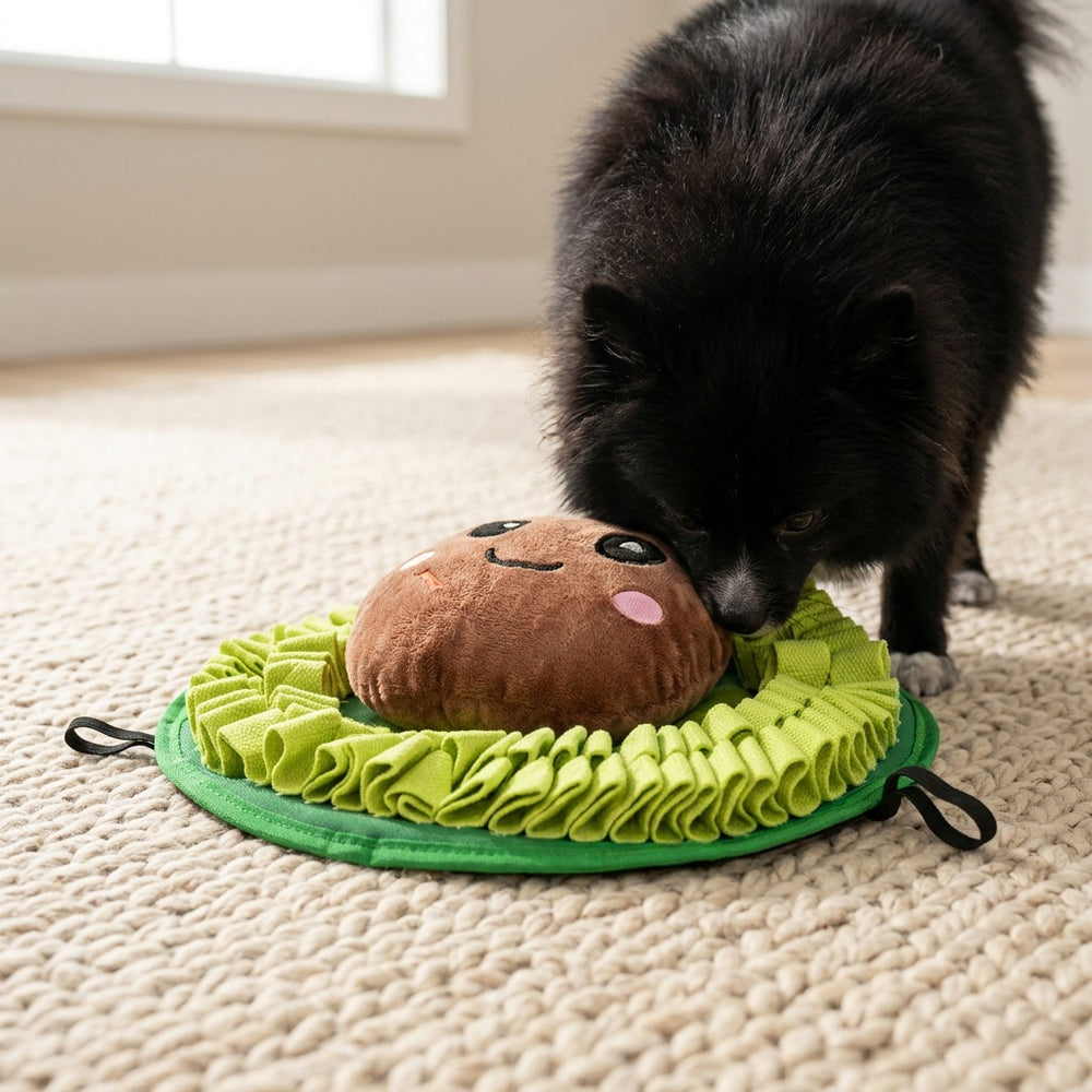 Sniff & Snuffle Bundle, Avocado