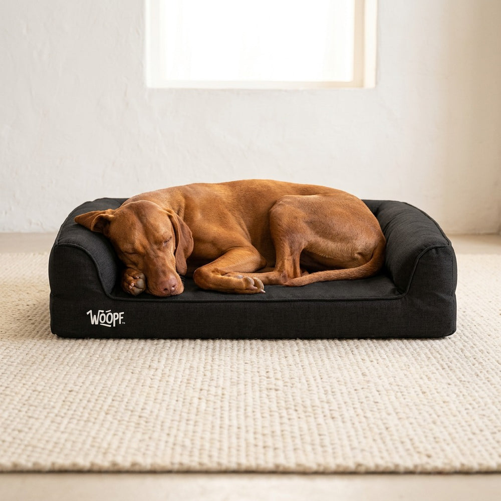 SNÖR Vet Orthopedic Bed