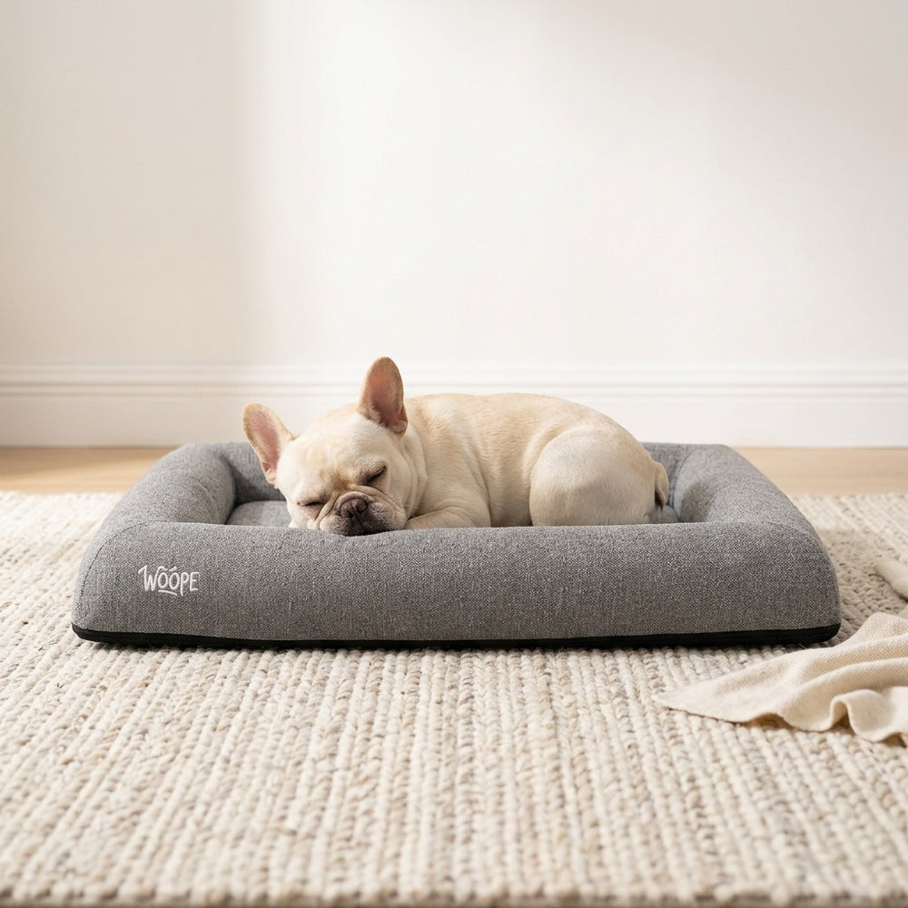 SNÜZ Vet Orthopedic Bed