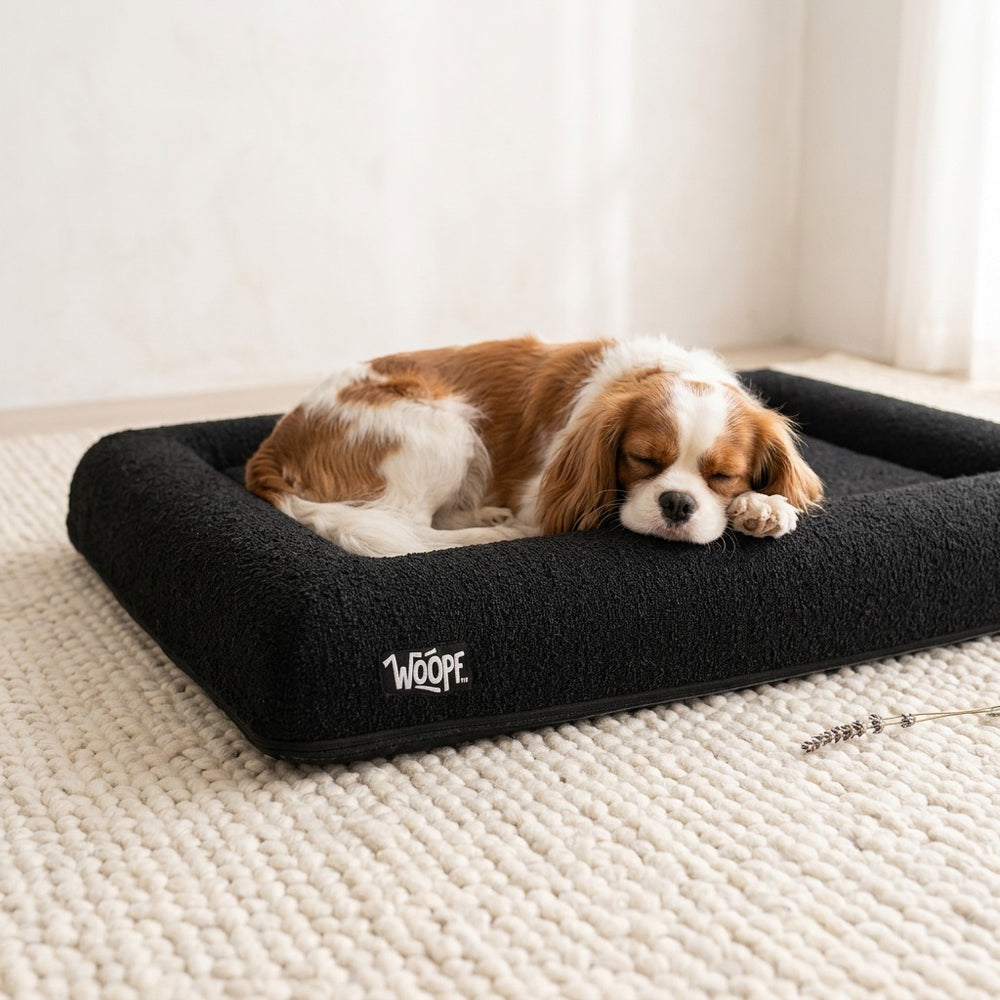 SNÜZ Vet Orthopedic Bed