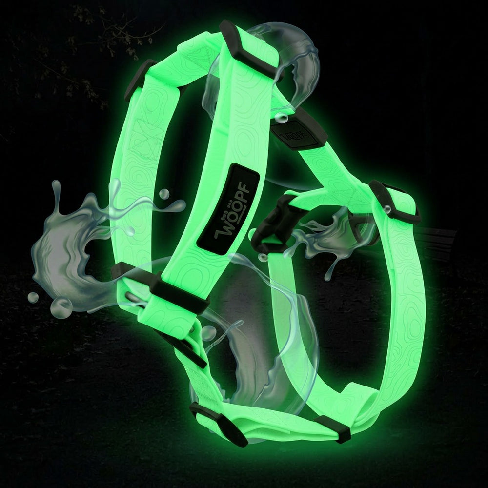 Sealskin Harness, Glow