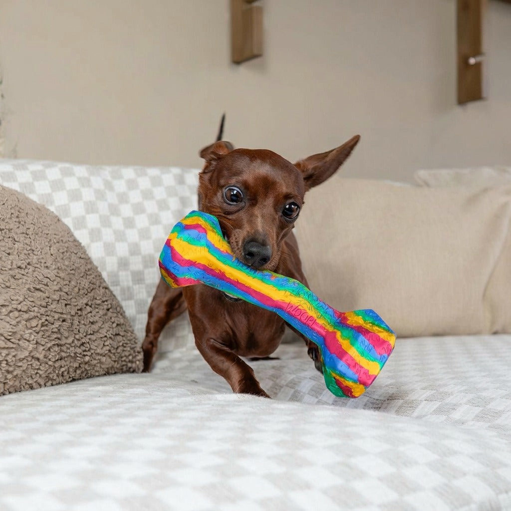 RainBone Dog Chew Toy - Celebrating Pride & The LGBTQ+ Community 🌈