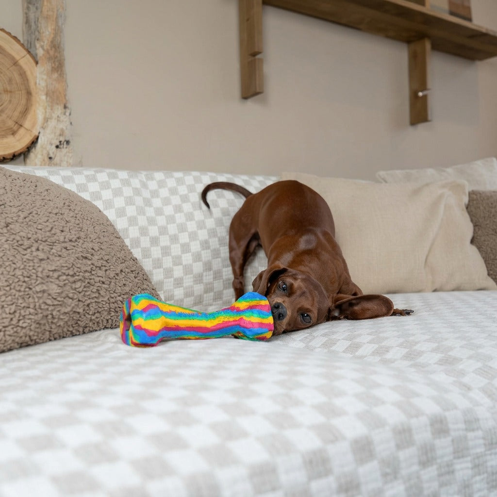 RainBone Dog Chew Toy - Celebrating Pride & The LGBTQ+ Community 🌈