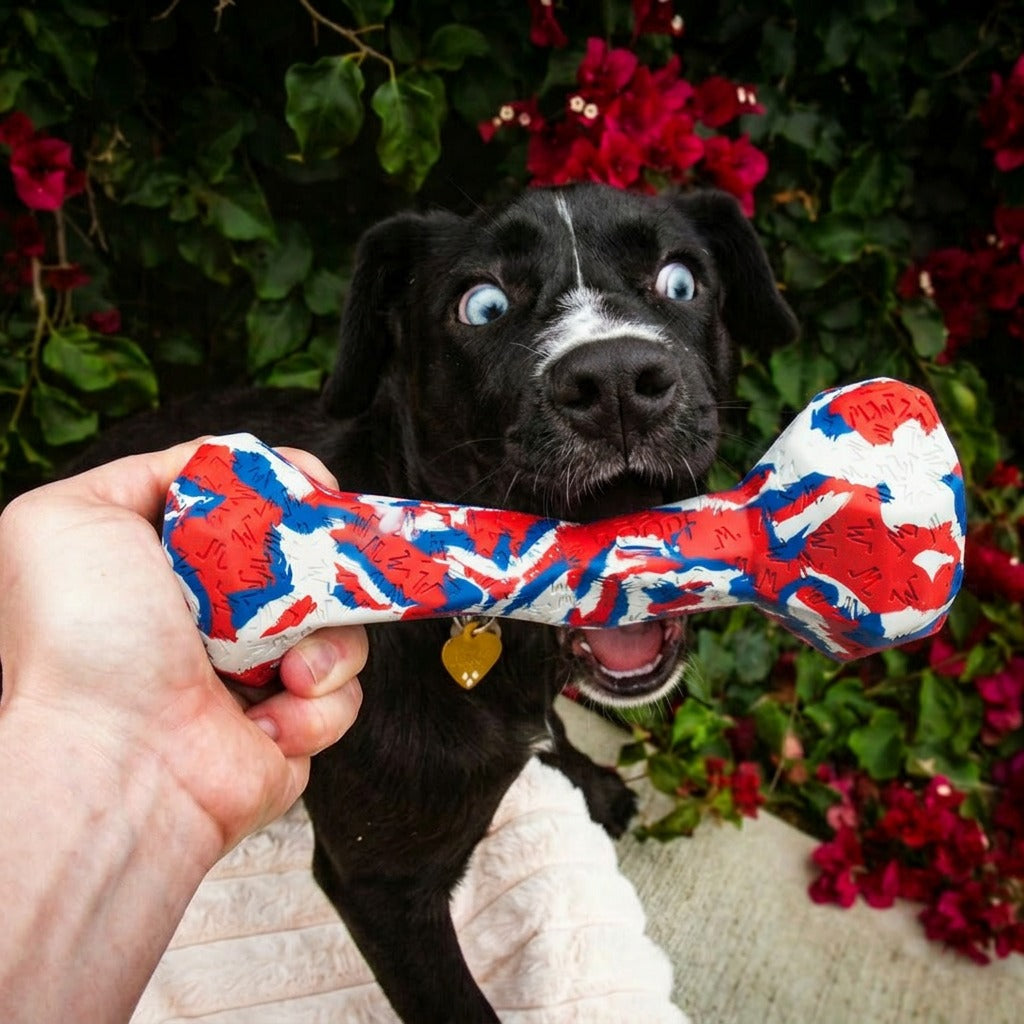 Chewster 方块骨头