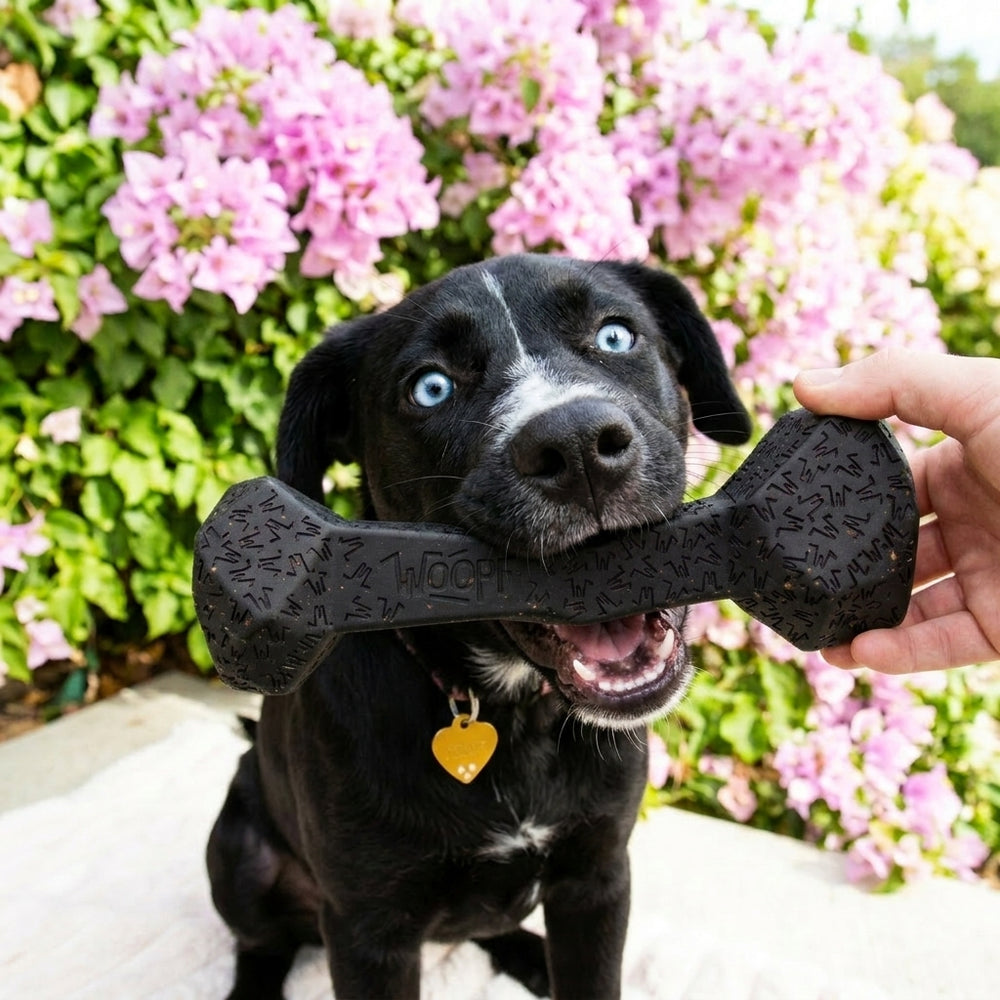 Chewster Blocky Bone, Black