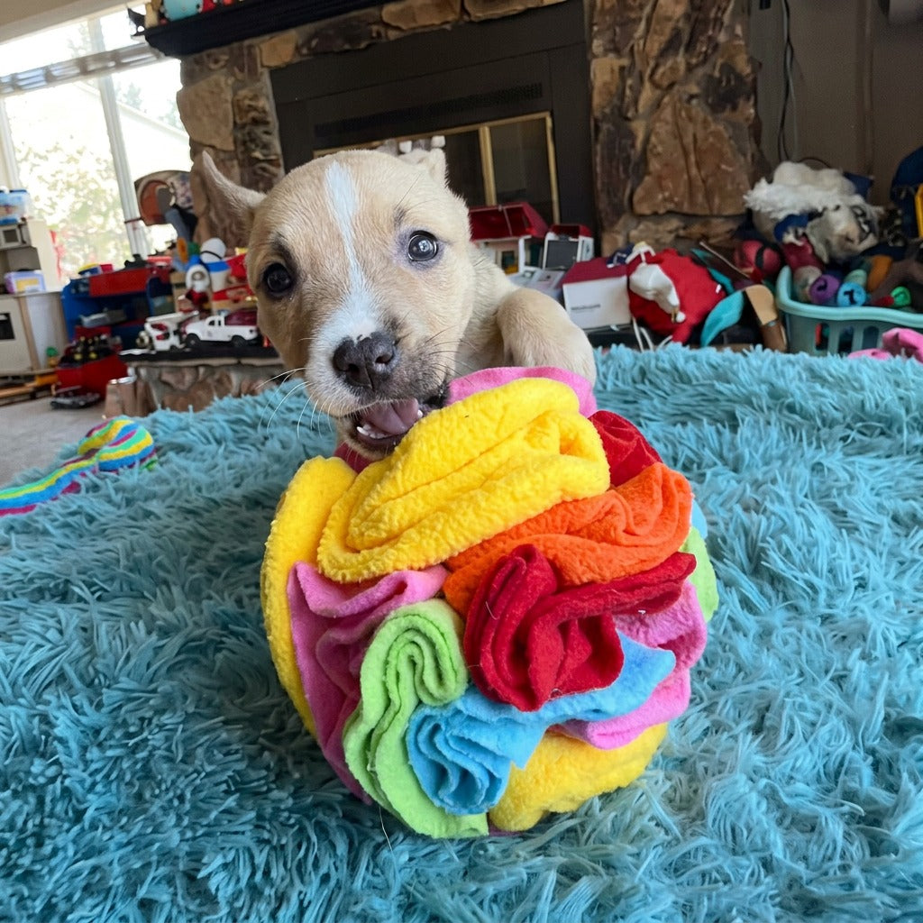 Snuffle Ball With Crackles