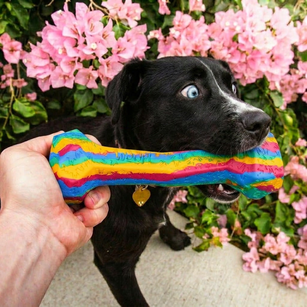 RainBone Dog Chew Toy - Celebrating Pride & The LGBTQ+ Community 🌈