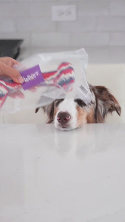 USA | Chewster Blocky Bone: Video of a hand filling the USA bone with cream for an Australian shepherd