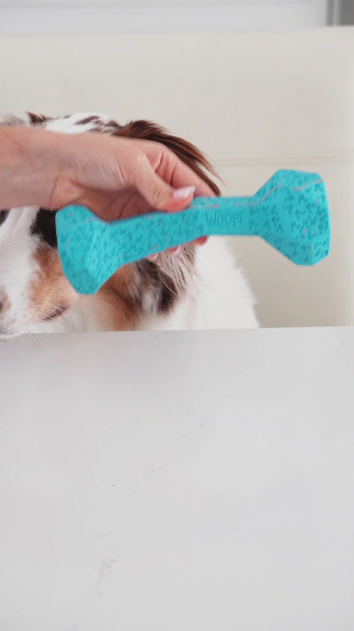 Purple | Chewster Blocky Bone: Video of a hand filling the Purple bone and chopping treats for it