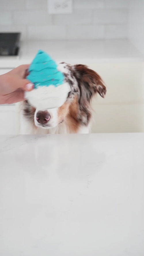 All | Chewster Snacky Hive: Video of a hand filling the hives for an Australian shepherd