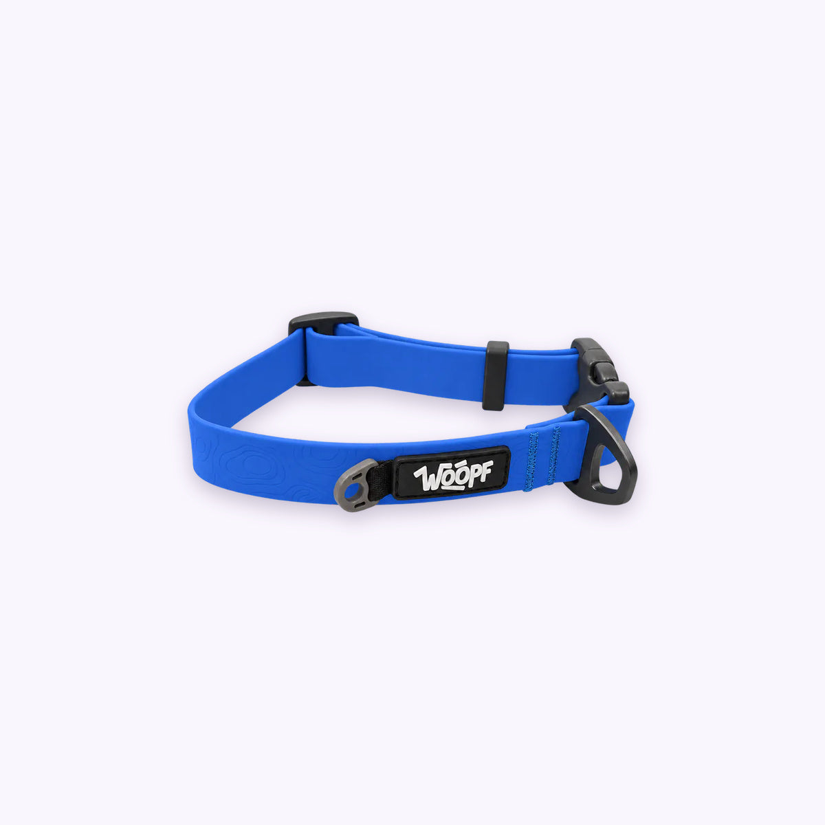 Blue | Sealskin Collar: The Blue collar on its own on a pale lavender background
