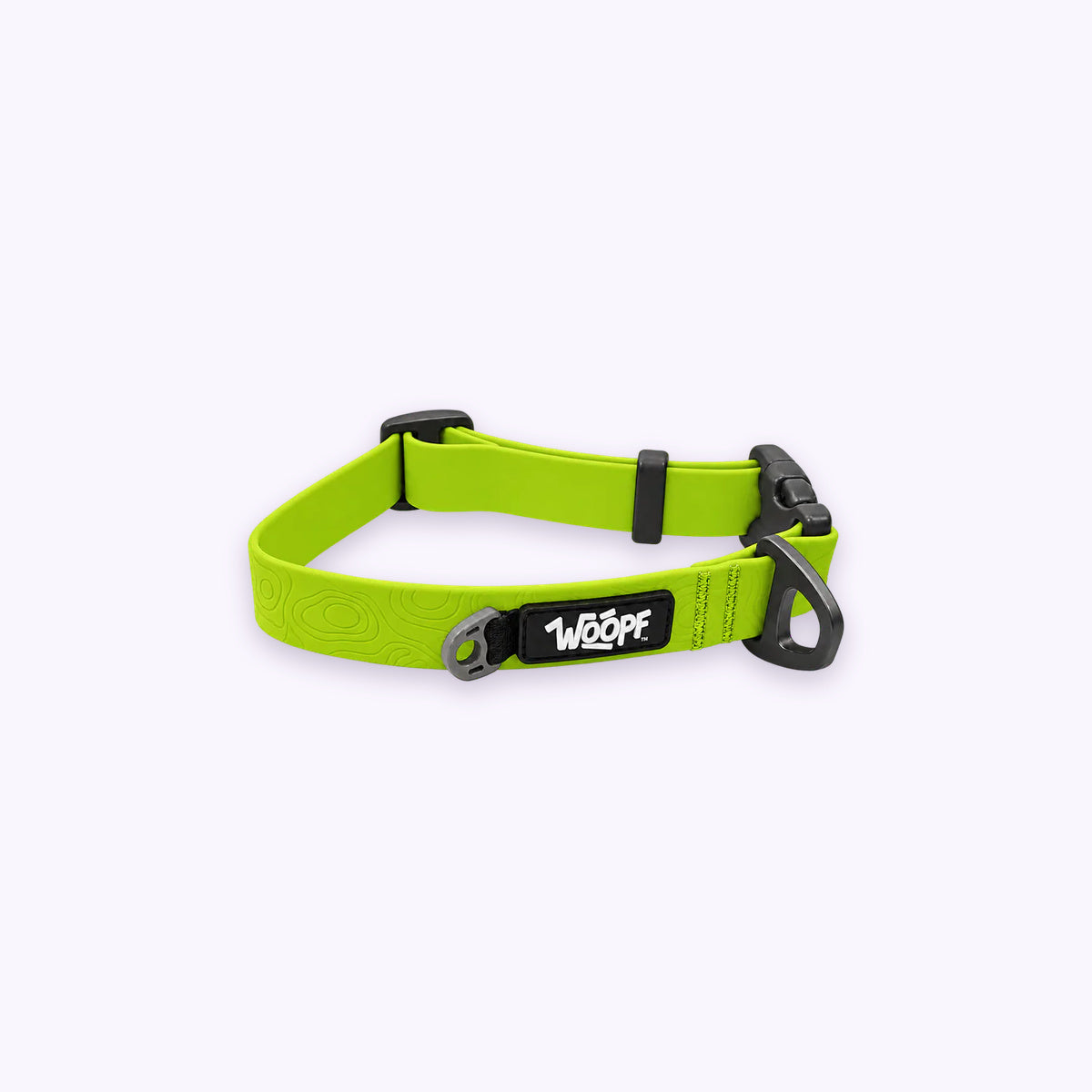 Green | Sealskin Collar: The Green collar on its own on a pale lavender background