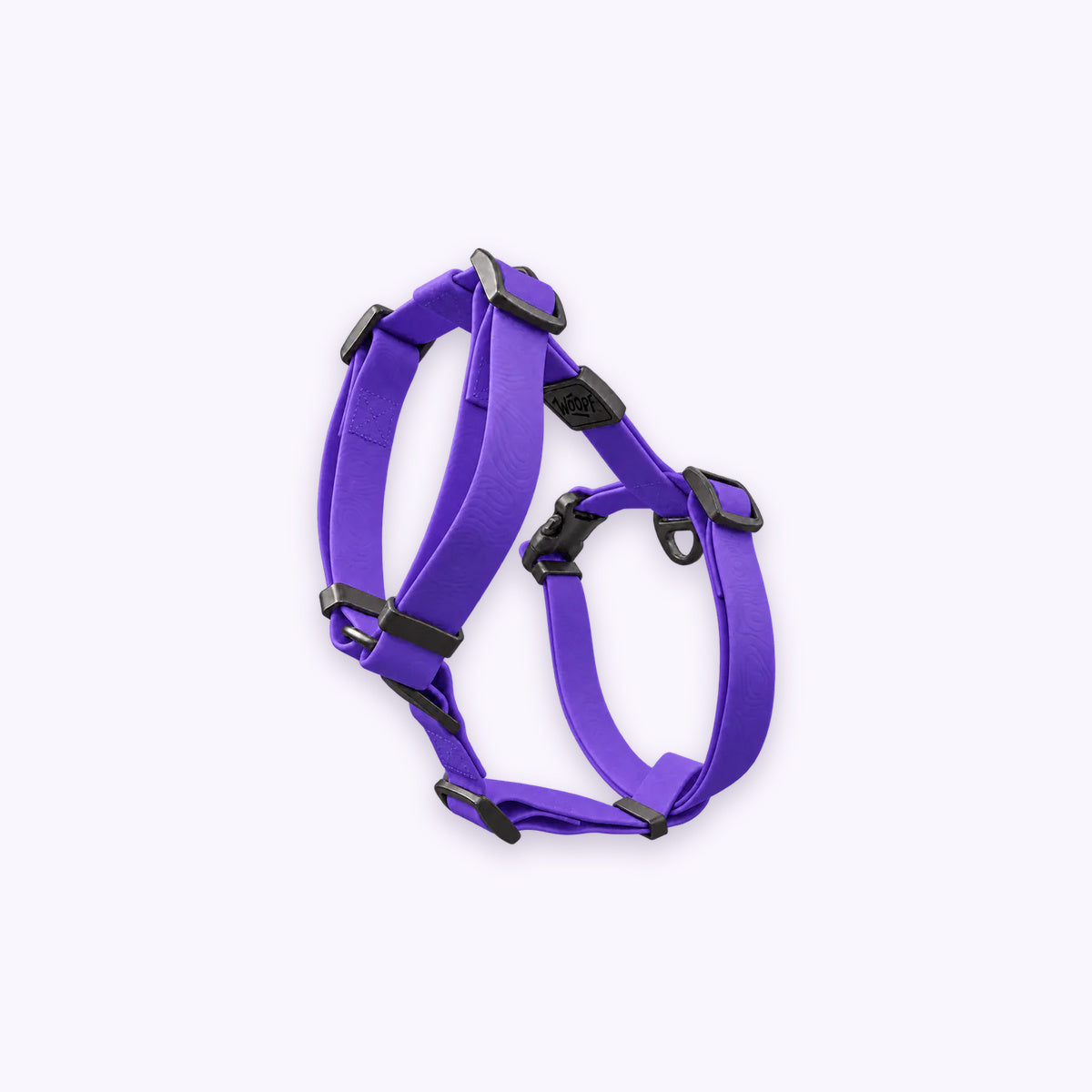 Purple | Sealskin Harness: The Purple harness on its own on a pale lavender background