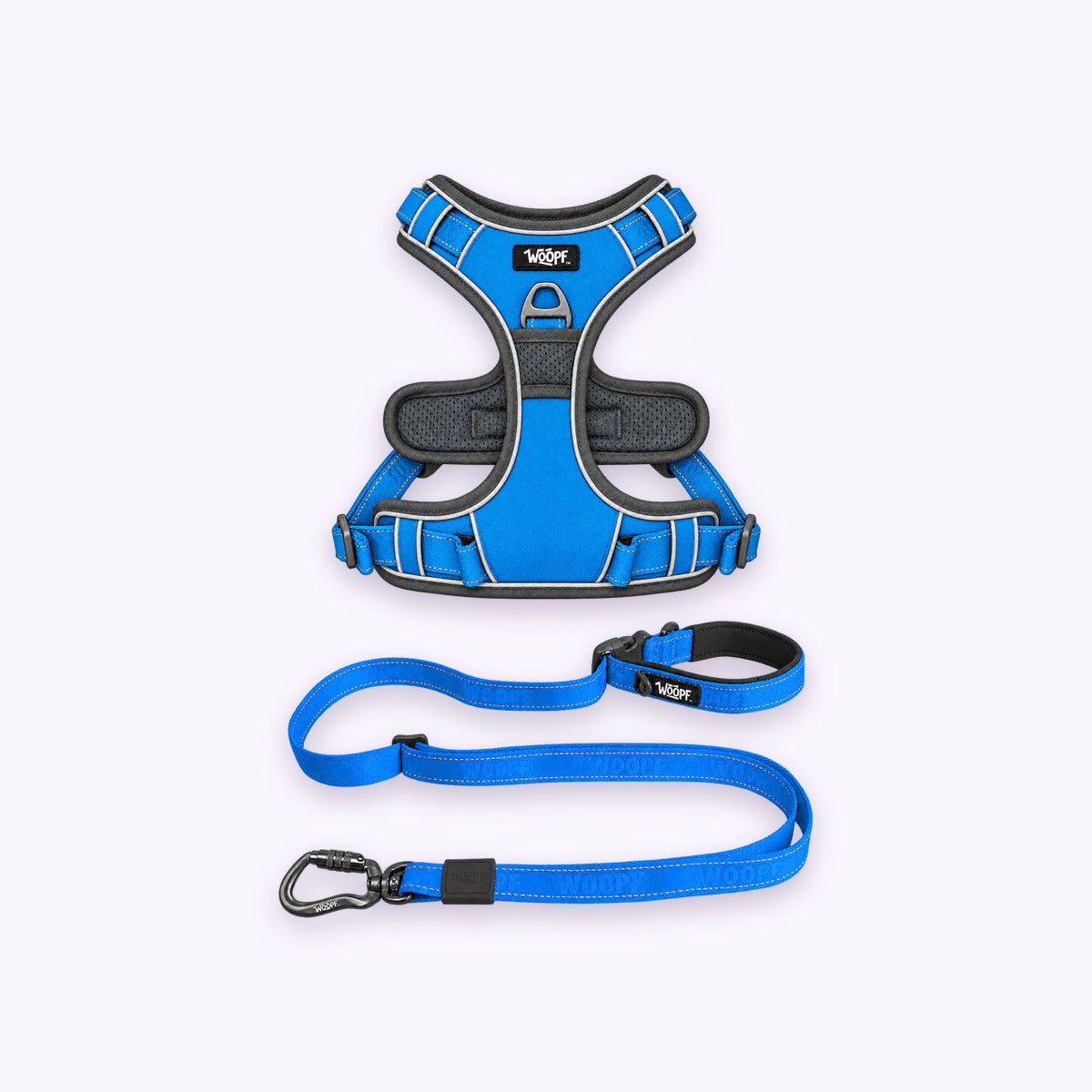 Blue | Training Bundle: The Blue Explorer Harness with the Blue Explorer Adjustable Leash on a pale lavender background