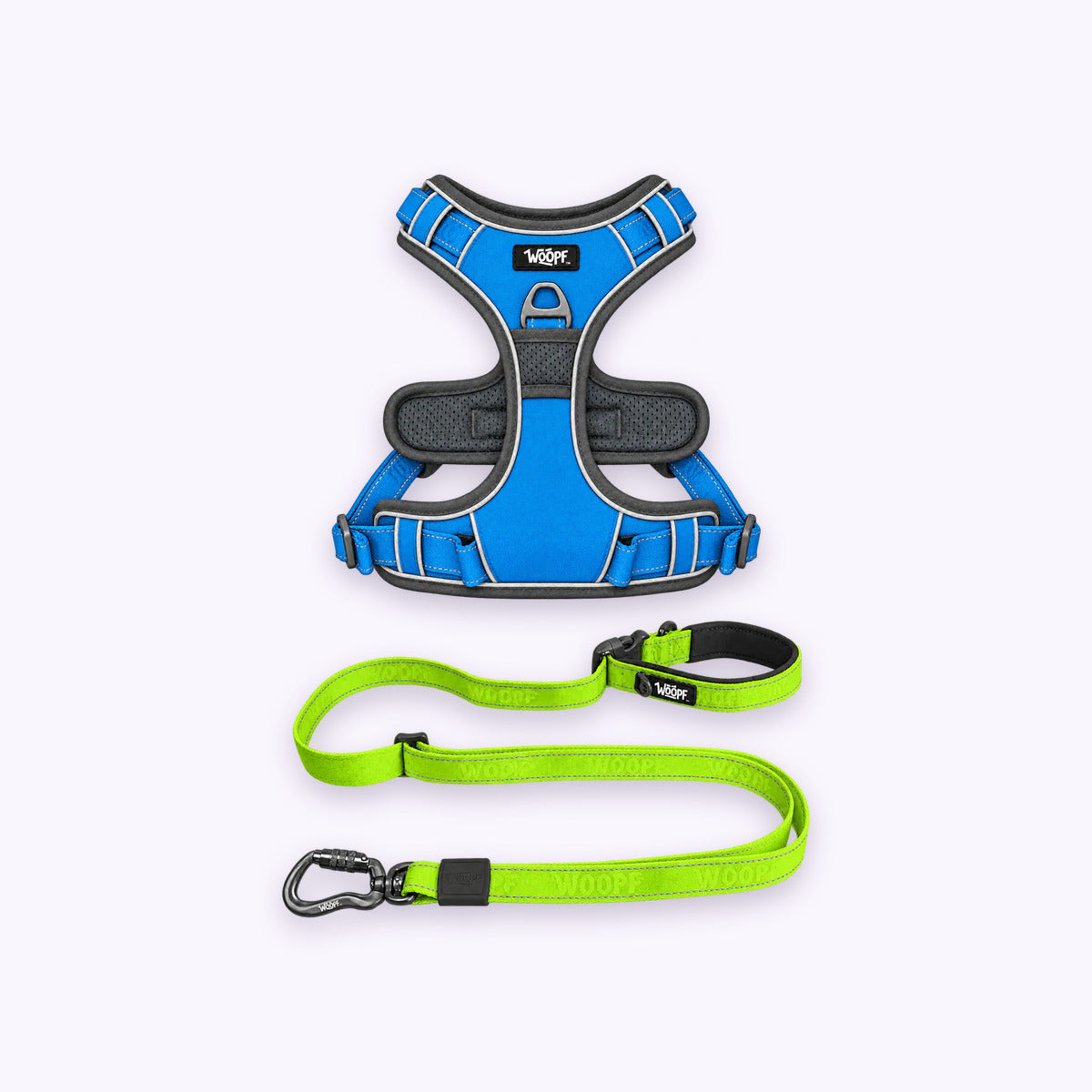 Blue | Training Bundle: The Blue Explorer Harness with the Green Explorer Adjustable Leash on a pale lavender background