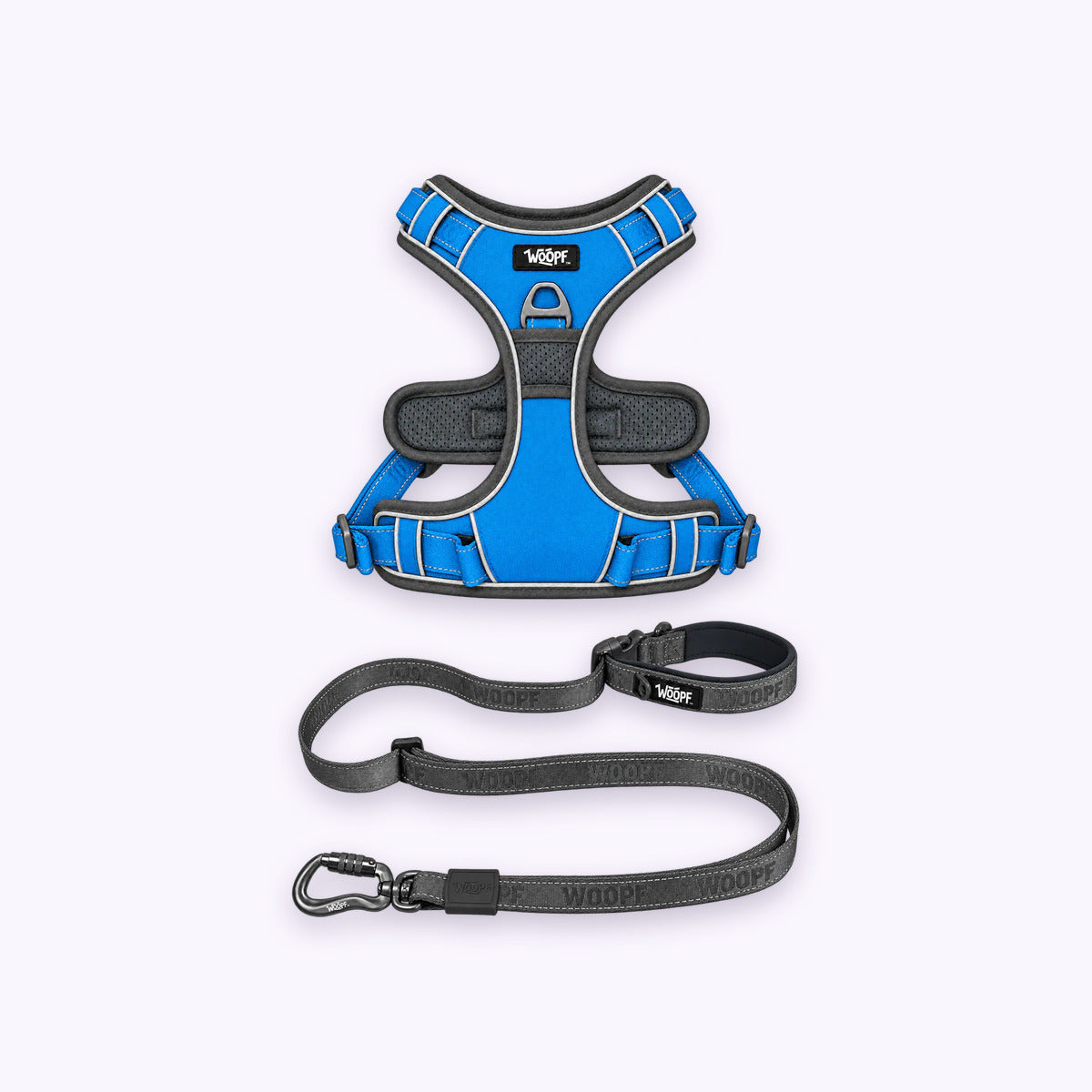 Blue | Training Bundle: The Blue Explorer Harness with the Grey Explorer Adjustable Leash on a pale lavender background