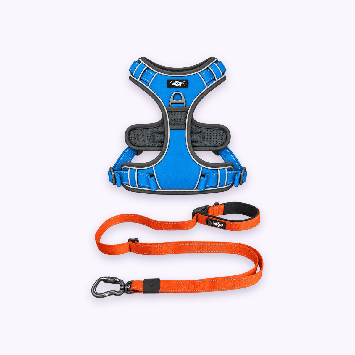 Blue | Training Bundle: The Blue Explorer Harness with the Orange Explorer Adjustable Leash on a pale lavender background