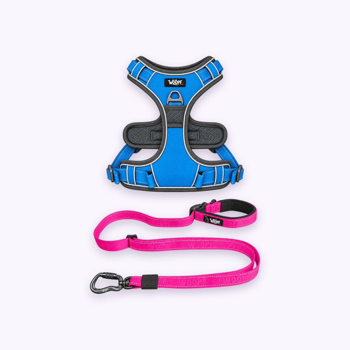 Blue | Training Bundle: The Blue Explorer Harness with the Pink Explorer Adjustable Leash on a pale lavender background