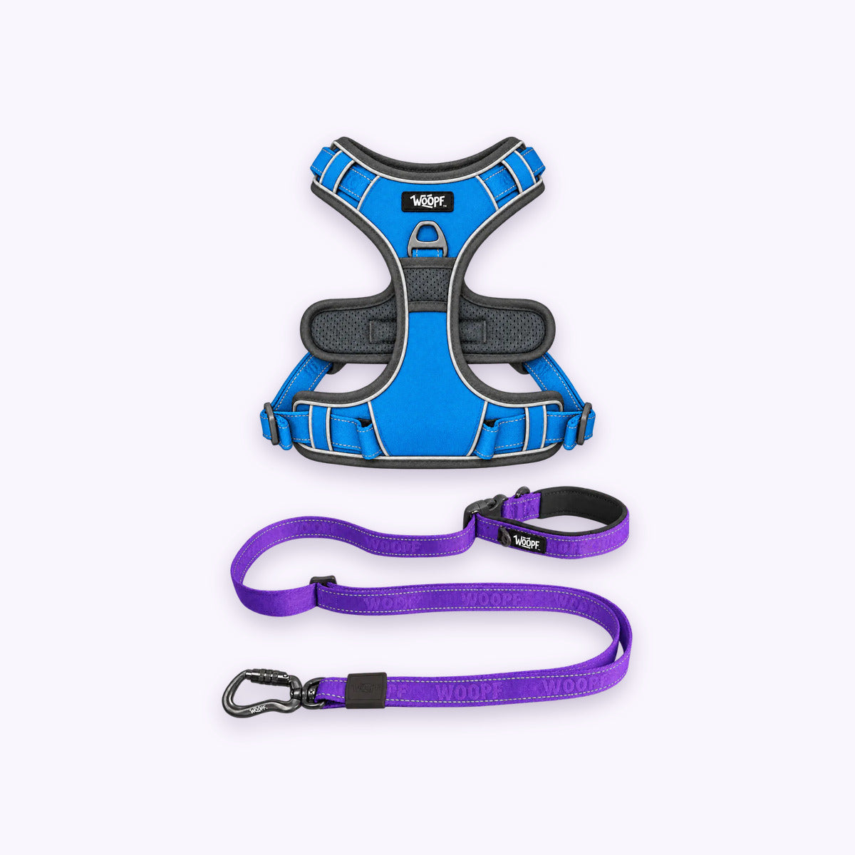 Blue | Training Bundle: The Blue Explorer Harness with the Purple Explorer Adjustable Leash on a pale lavender background