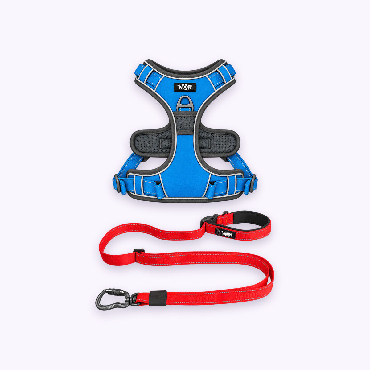 Blue | Training Bundle: The Blue Explorer Harness with the Red Explorer Adjustable Leash on a pale lavender background