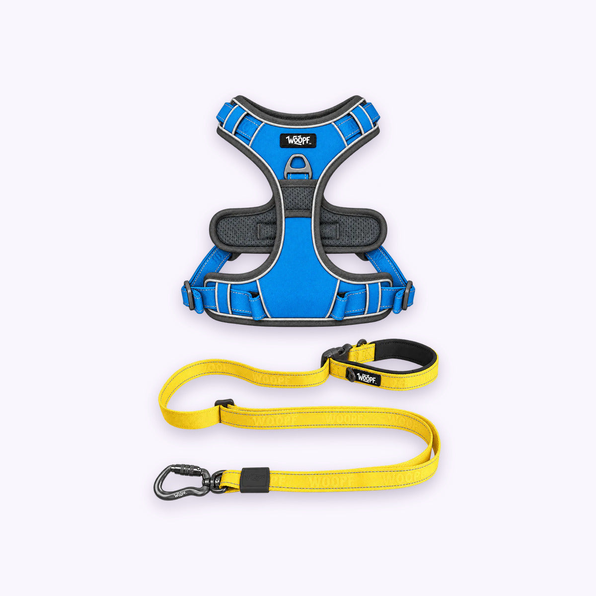 Blue | Training Bundle: The Blue Explorer Harness with the Yellow Explorer Adjustable Leash on a pale lavender background
