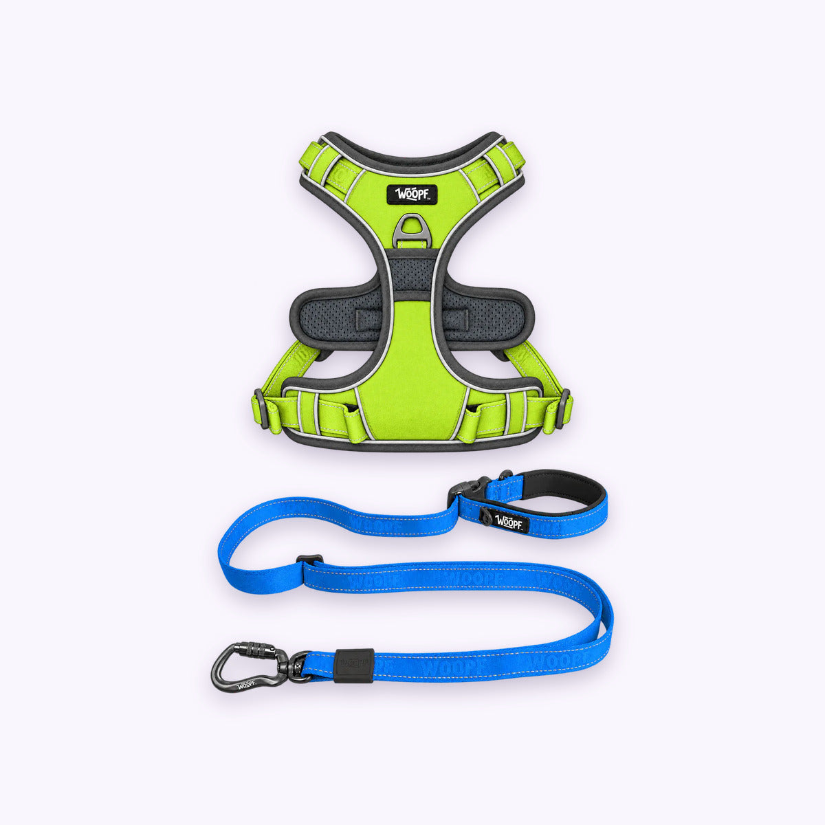 Green | Training Bundle: The Green Explorer Harness with the Blue Explorer Adjustable Leash on a pale lavender background