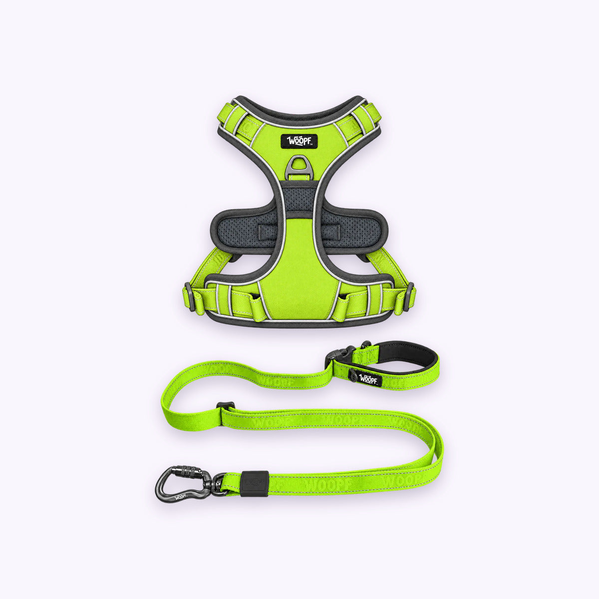 Green | Training Bundle: The Green Explorer Harness with the Green Explorer Adjustable Leash on a pale lavender background