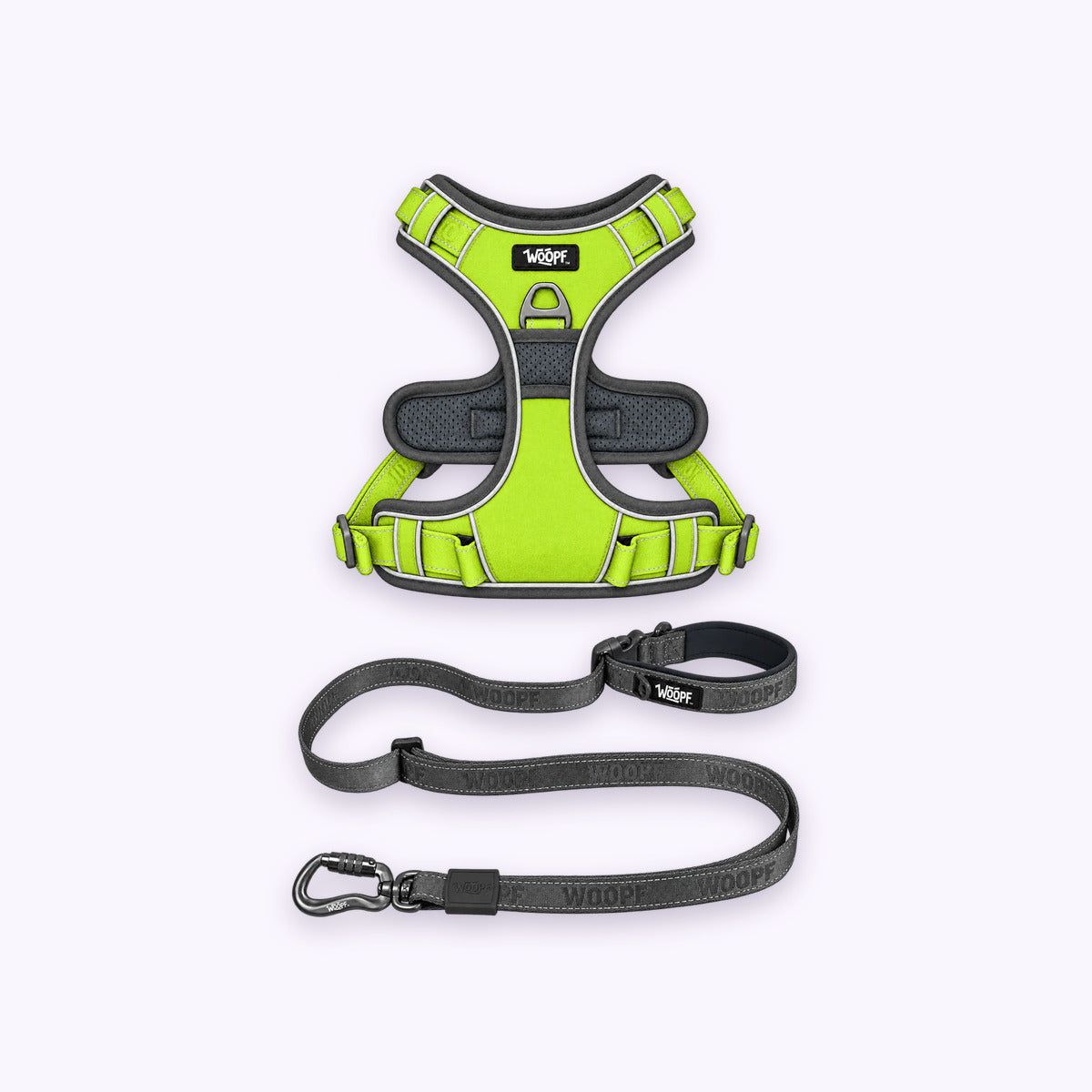 Green | Training Bundle: The Green Explorer Harness with the Grey Explorer Adjustable Leash on a pale lavender background