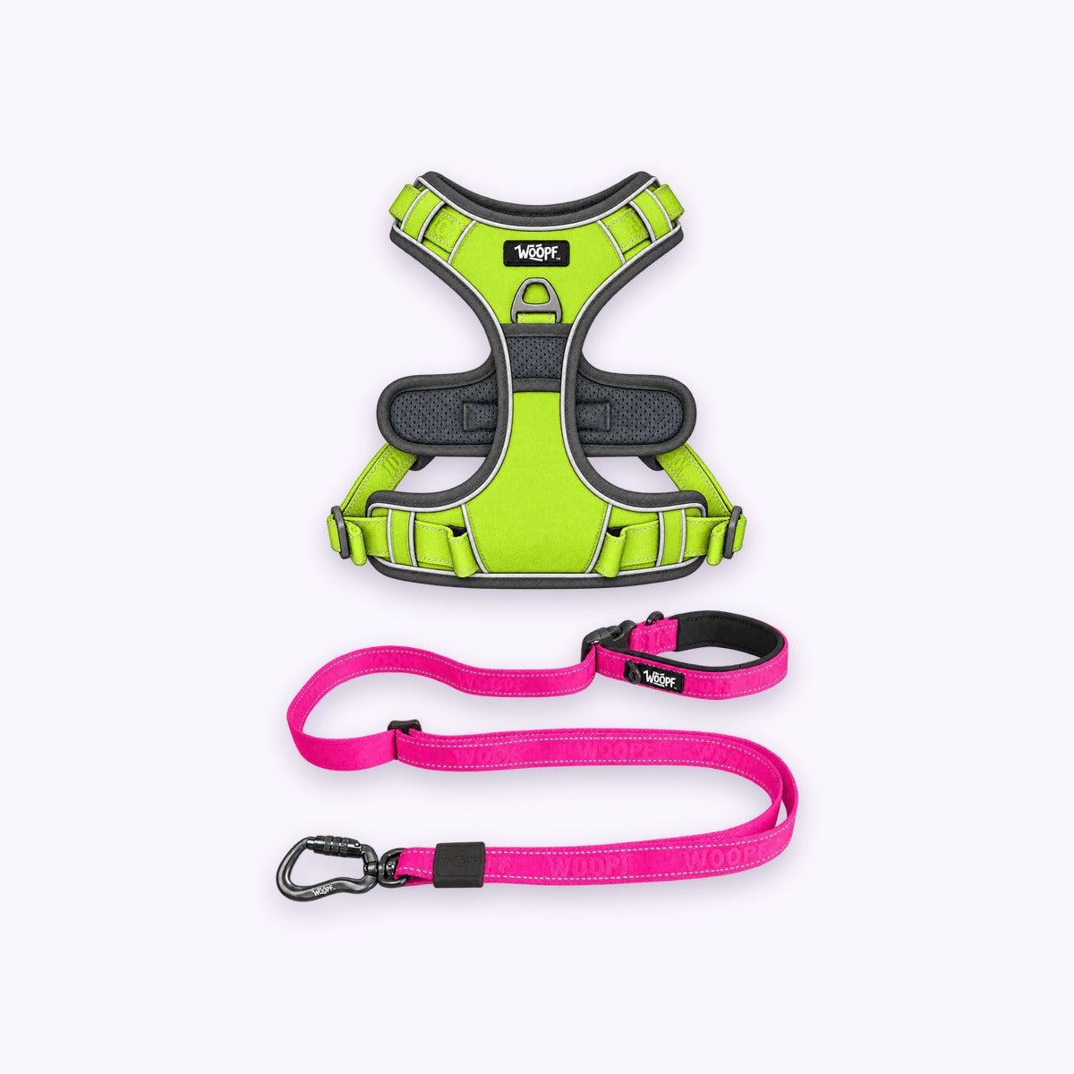 Green | Training Bundle: The Green Explorer Harness with the Pink Explorer Adjustable Leash on a pale lavender background