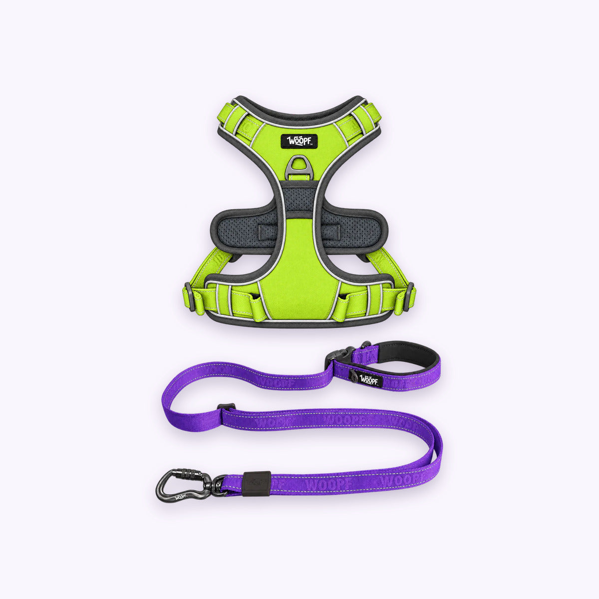 Green | Training Bundle: The Green Explorer Harness with the Purple Explorer Adjustable Leash on a pale lavender background
