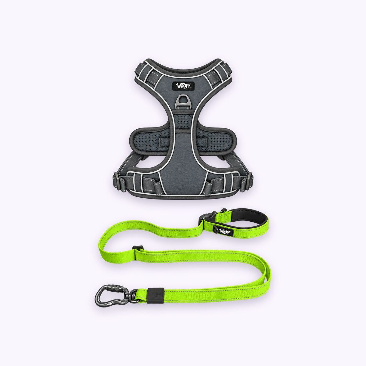 Grey | Training Bundle: The Grey Explorer Harness with the Green Explorer Adjustable Leash on a pale lavender background
