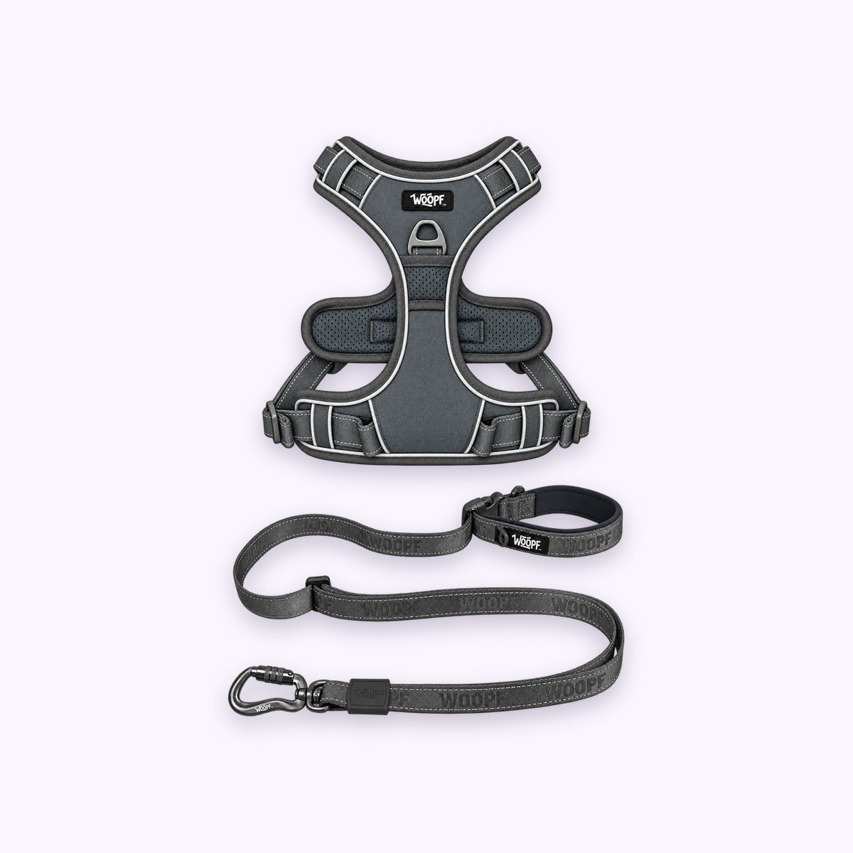 Training Bundle: The Grey Explorer Harness with the Grey Explorer Adjustable Leash on a pale lavender background