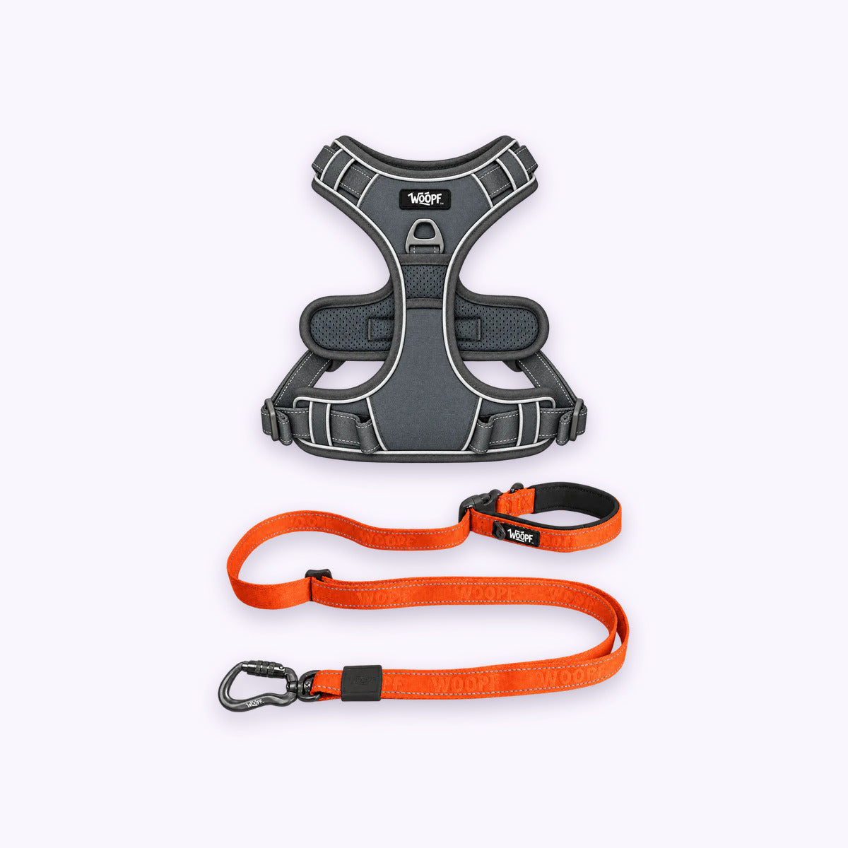 Grey | Training Bundle: The Grey Explorer Harness with the Orange Explorer Adjustable Leash on a pale lavender background