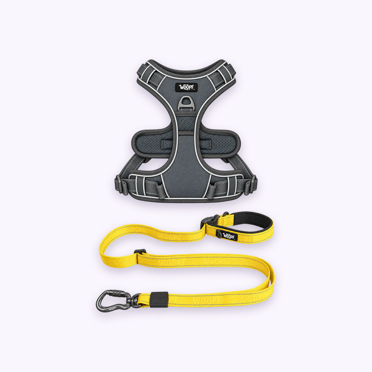 Grey | Training Bundle: The Grey Explorer Harness with the Yellow Explorer Adjustable Leash on a pale lavender background