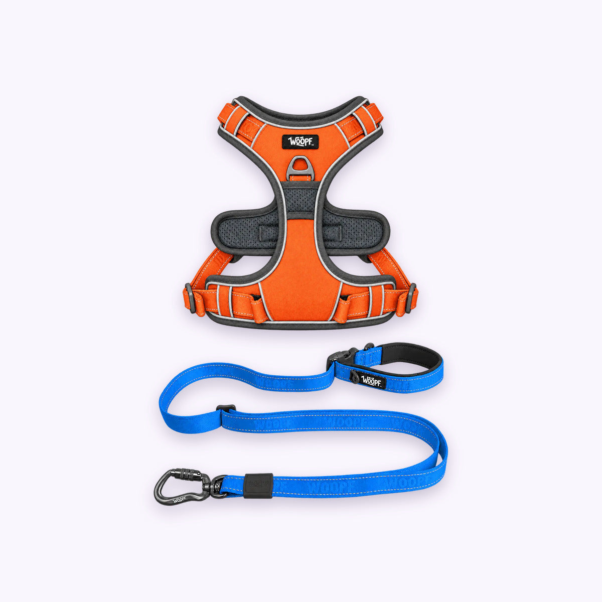 Orange | Training Bundle: The Orange Explorer Harness with the Blue Explorer Adjustable Leash on a pale lavender background