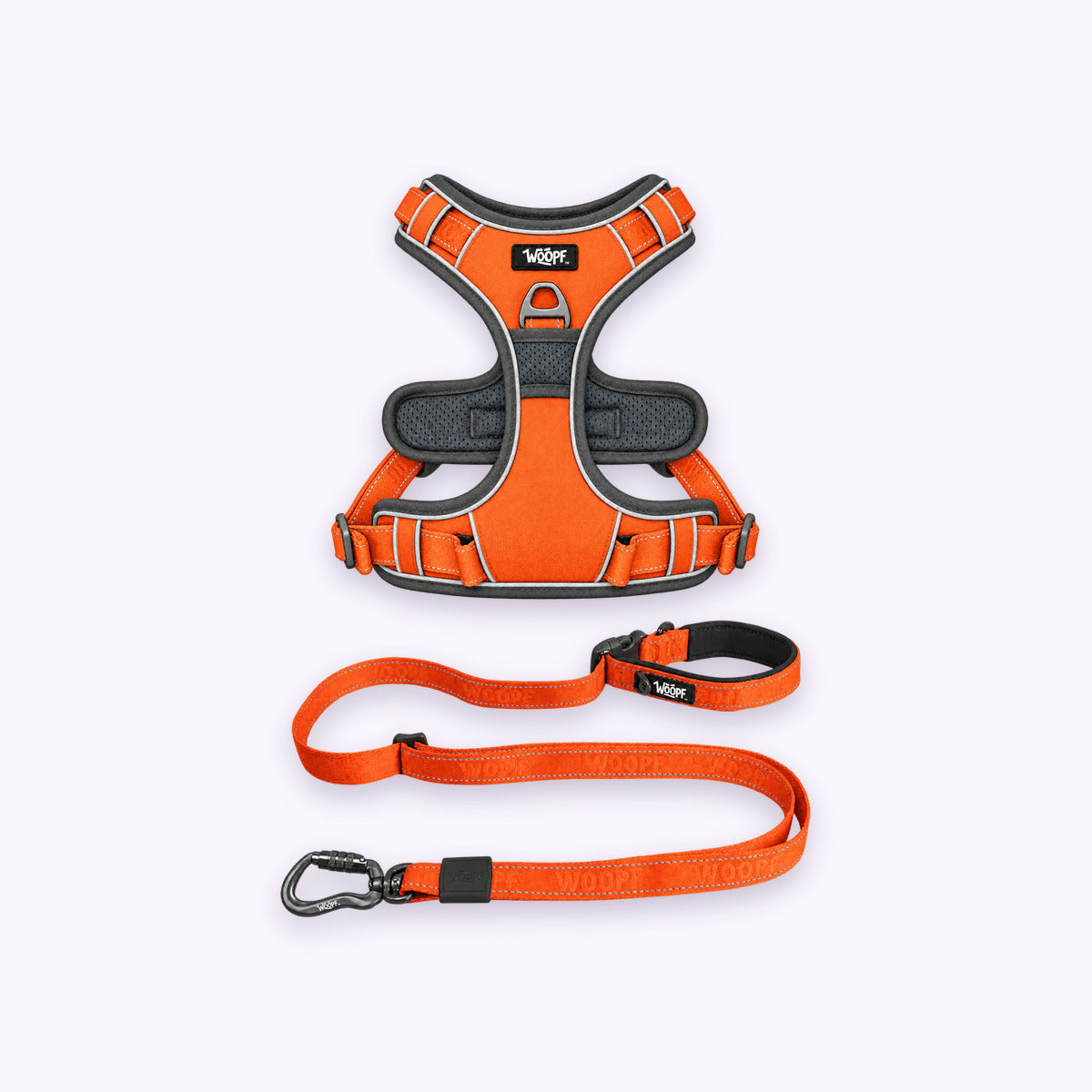 Orange | Training Bundle: The Orange Explorer Harness with the Orange Explorer Adjustable Leash on a pale lavender background