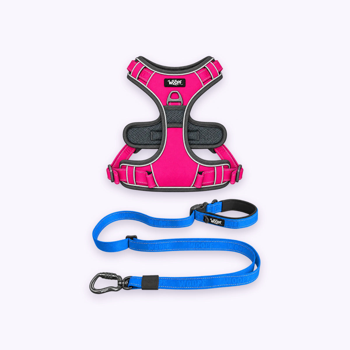 Pink | Training Bundle: The Pink Explorer Harness with the Blue Explorer Adjustable Leash on a pale lavender background