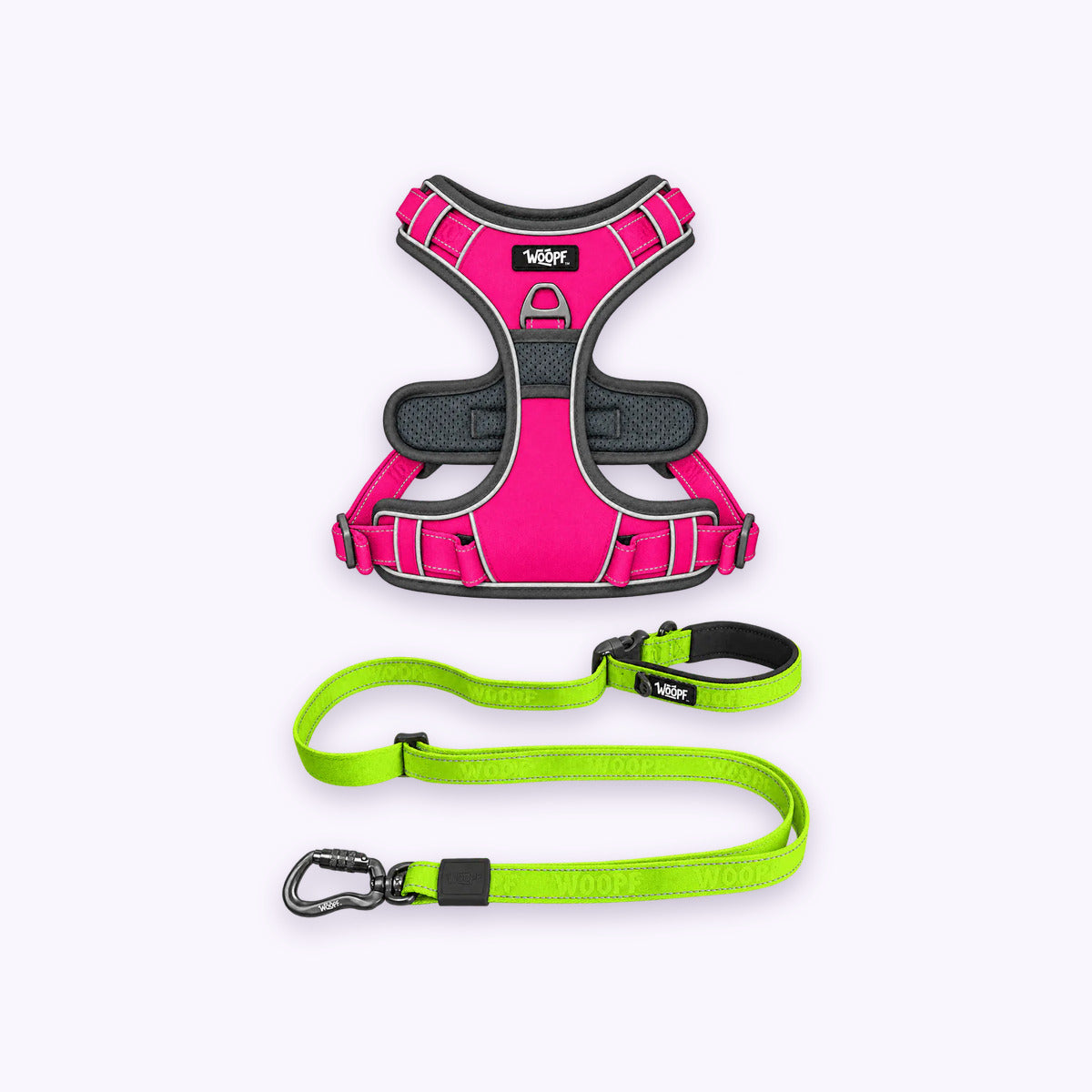 Pink | Training Bundle: The Pink Explorer Harness with the Green Explorer Adjustable Leash on a pale lavender background