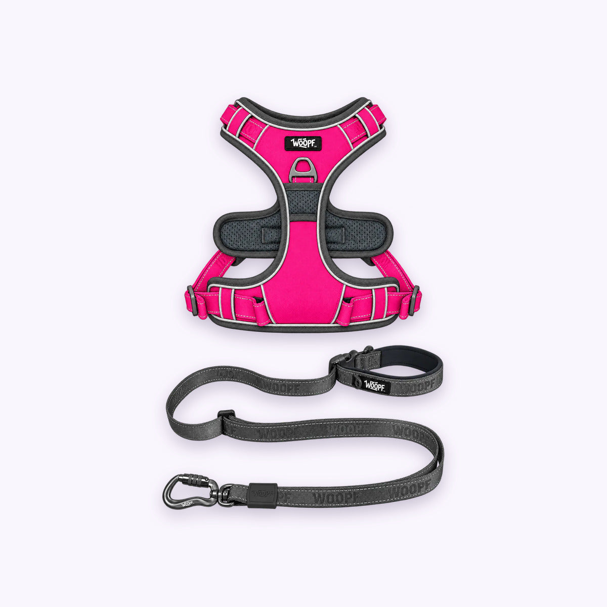 Pink | Training Bundle: The Pink Explorer Harness with the Grey Explorer Adjustable Leash on a pale lavender background