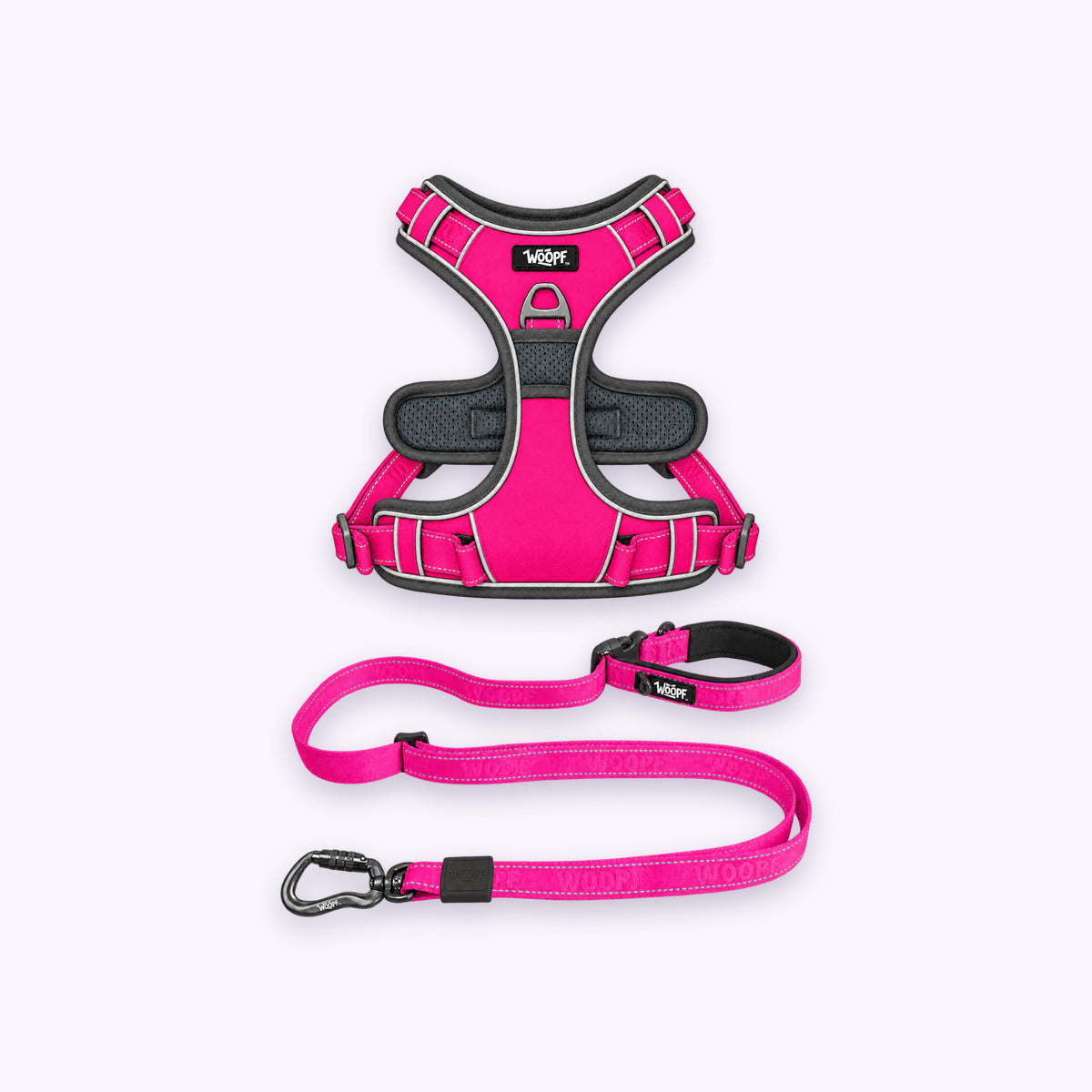 Pink | Training Bundle: The Pink Explorer Harness with the Pink Explorer Adjustable Leash on a pale lavender background