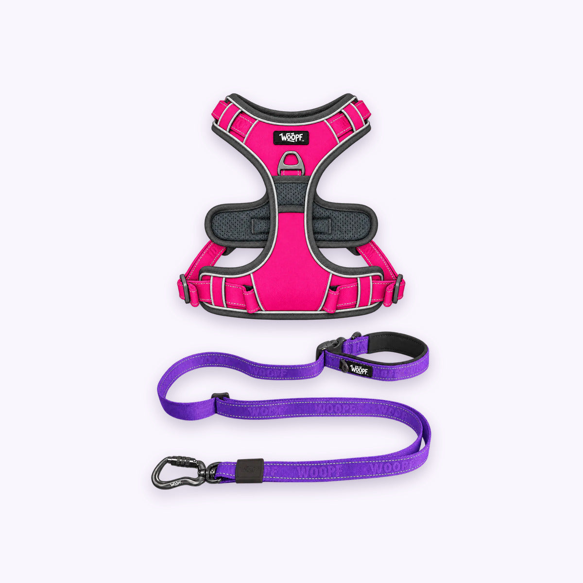 Pink | Training Bundle: The Pink Explorer Harness with the Purple Explorer Adjustable Leash on a pale lavender background