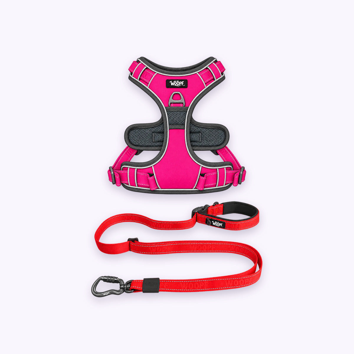 Pink | Training Bundle: The Pink Explorer Harness with the Red Explorer Adjustable Leash on a pale lavender background