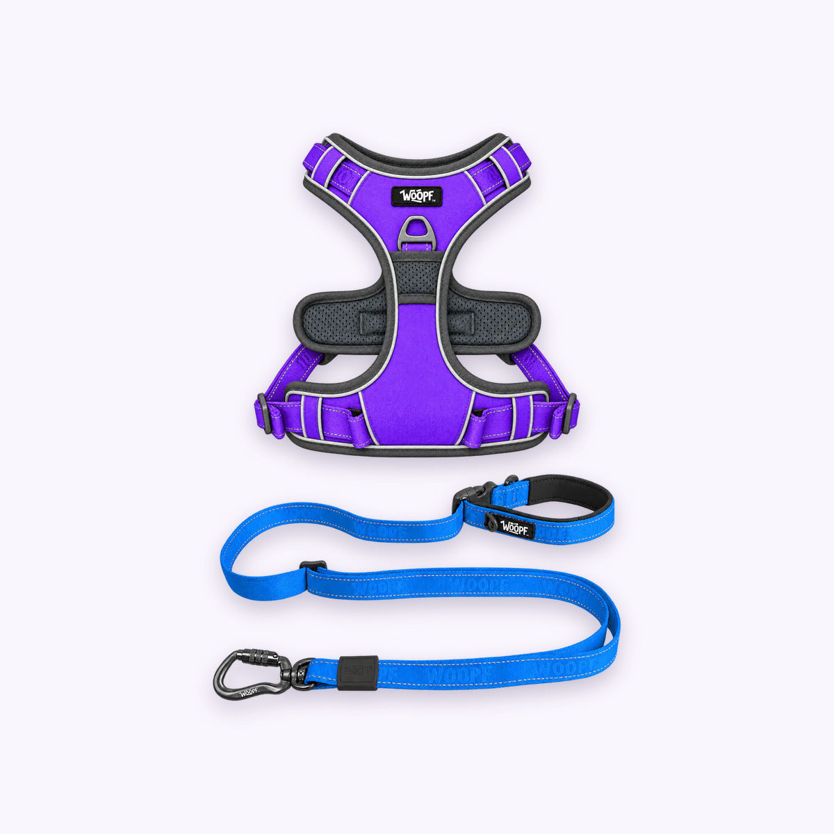 Purple | Training Bundle: The Purple Explorer Harness with the Blue Explorer Adjustable Leash on a pale lavender background