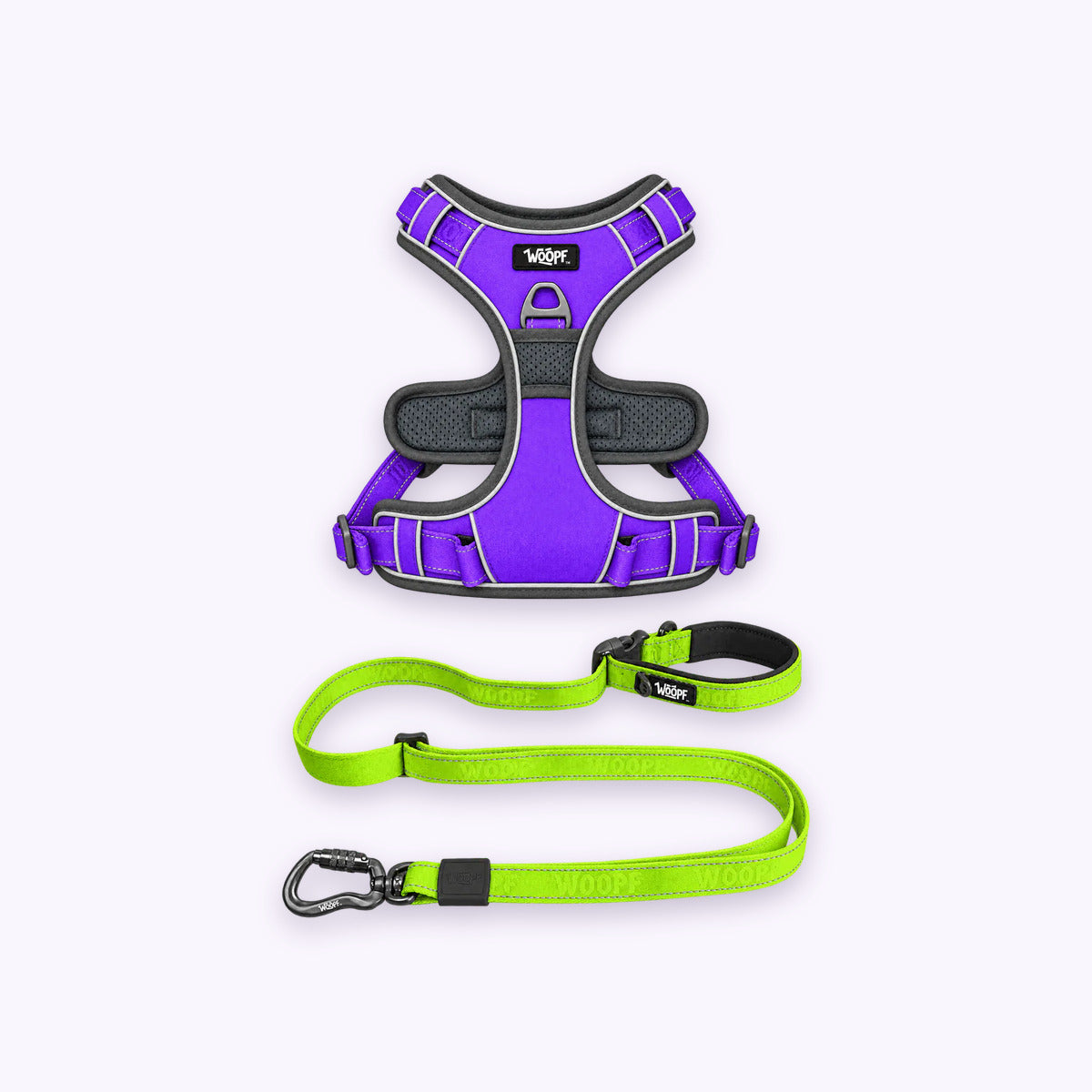 Purple | Training Bundle: The Purple Explorer Harness with the Green Explorer Adjustable Leash on a pale lavender background
