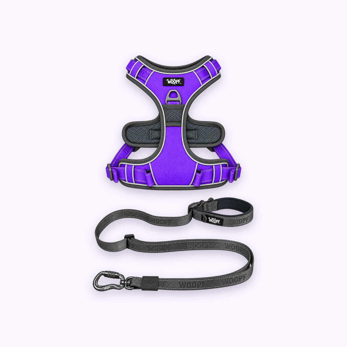 Purple | Training Bundle: The Purple Explorer Harness with the Grey Explorer Adjustable Leash on a pale lavender background