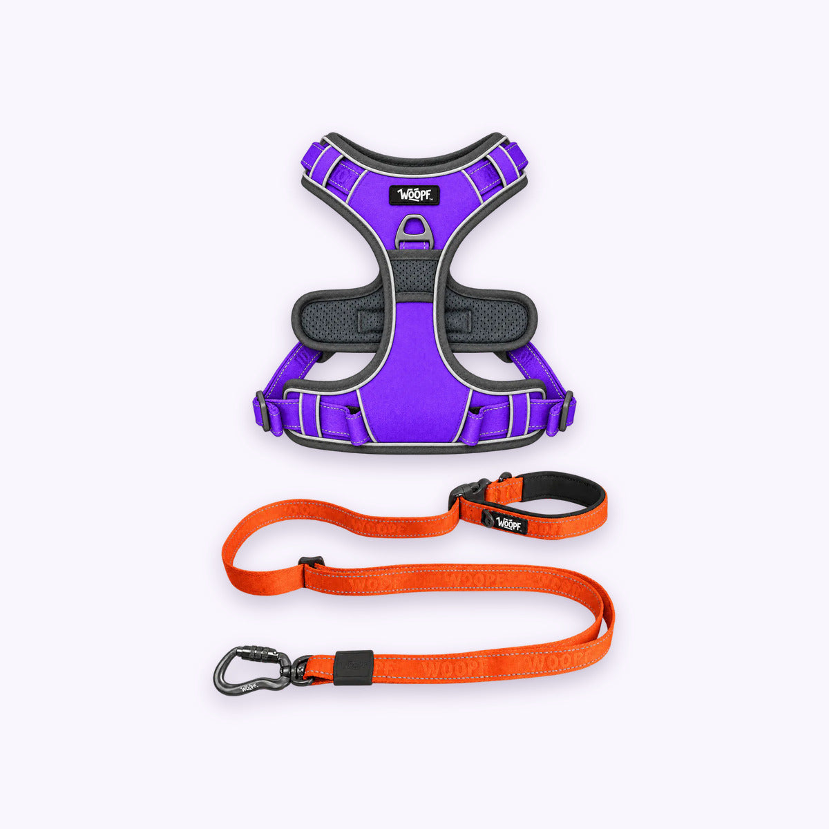 Purple | Training Bundle: The Purple Explorer Harness with the Orange Explorer Adjustable Leash on a pale lavender background