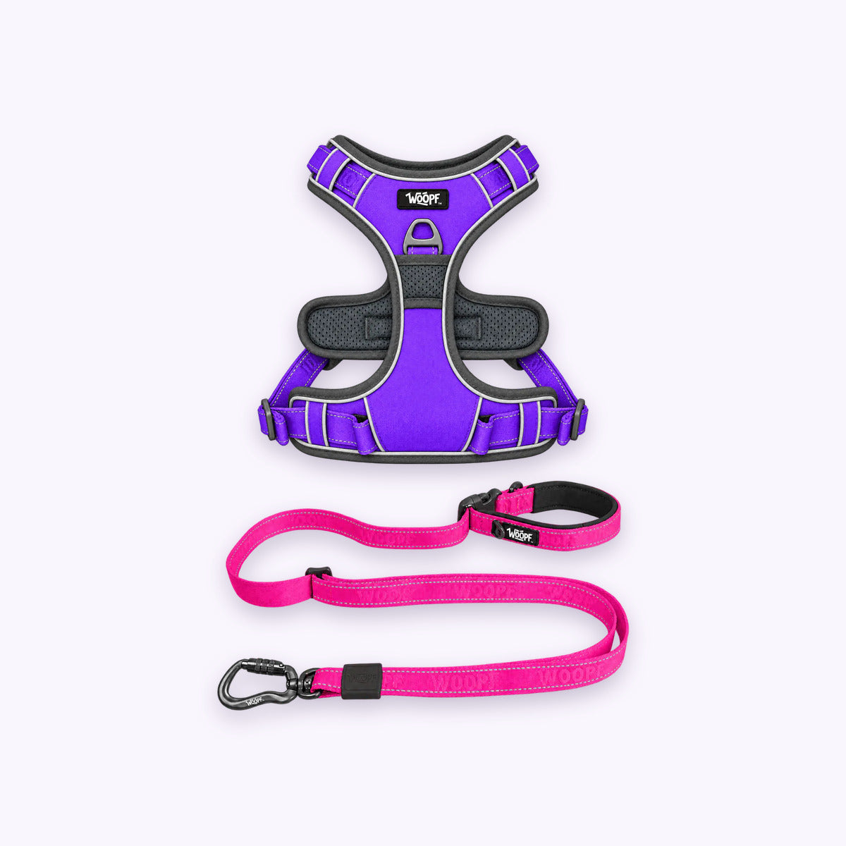 Purple | Training Bundle: The Purple Explorer Harness with the Pink Explorer Adjustable Leash on a pale lavender background