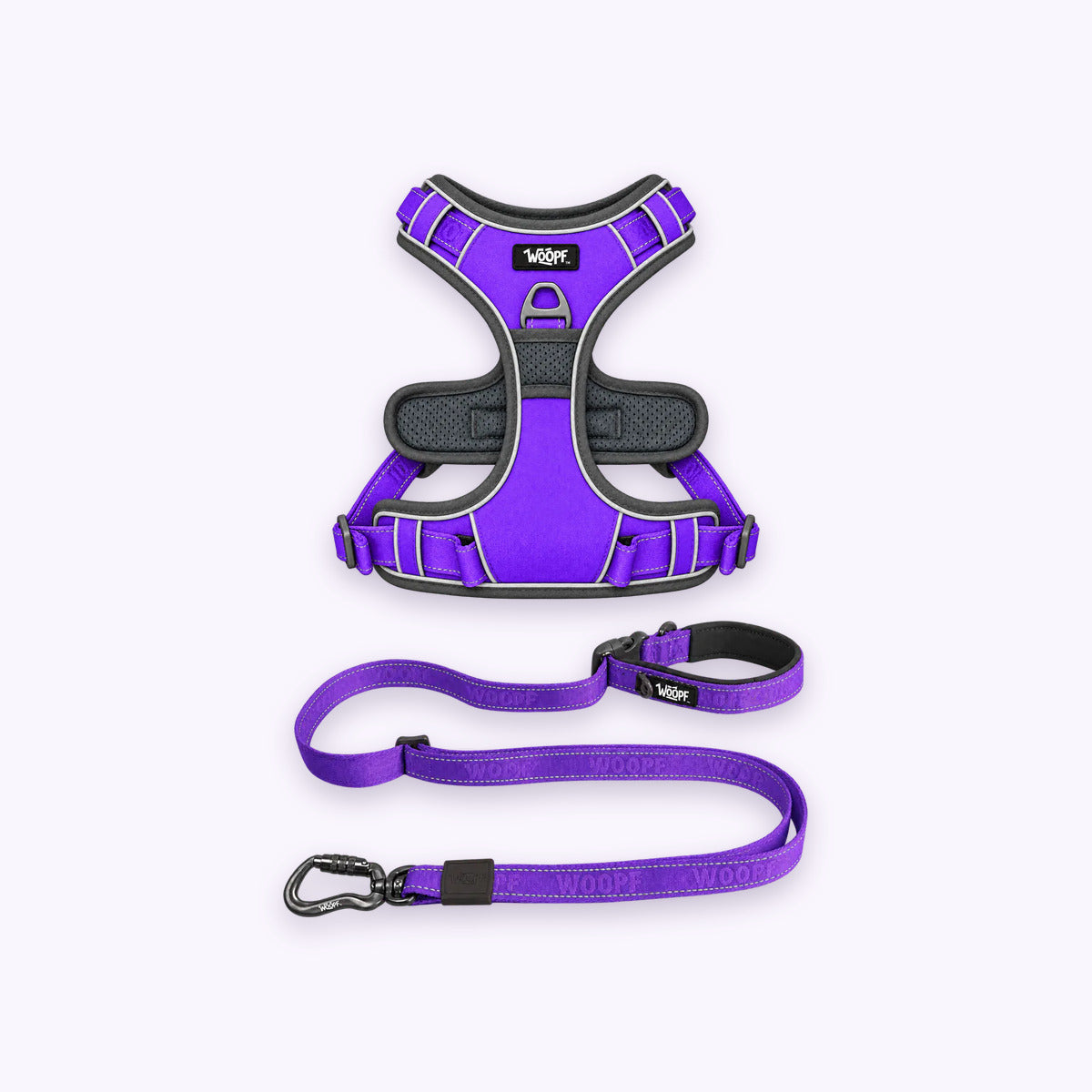 Purple | Training Bundle: The Purple Explorer Harness with the Purple Explorer Adjustable Leash on a pale lavender background